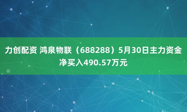 力创配资 鸿泉物联（688288）5月30日主力资金净买入490.57万元
