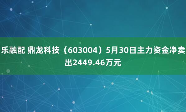 乐融配 鼎龙科技（603004）5月30日主力资金净卖出2449.46万元