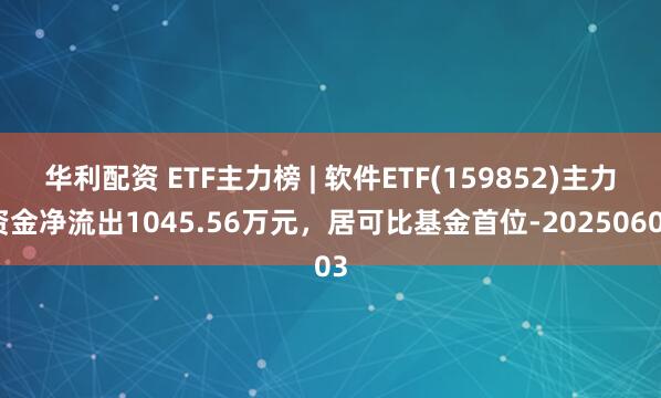 华利配资 ETF主力榜 | 软件ETF(159852)主力资金净流出1045.56万元，居可比基金首位-20250603