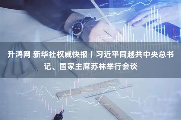 升鸿网 新华社权威快报丨习近平同越共中央总书记、国家主席苏林举行会谈